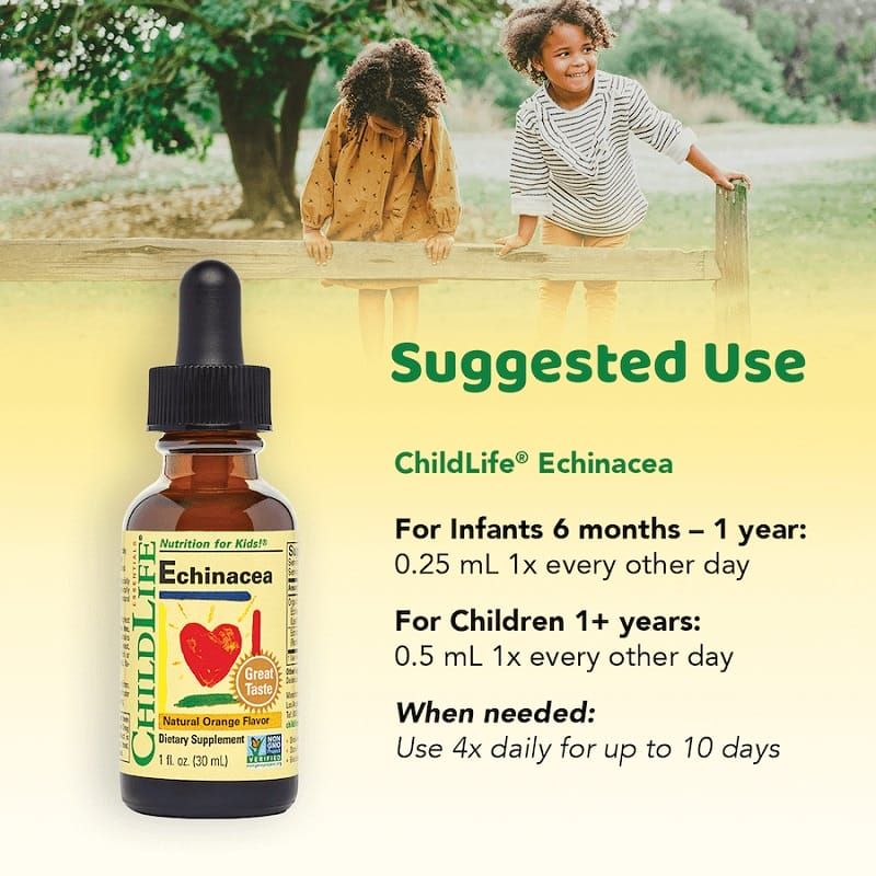 ChildLife Echinacea - Siro Hỗ Trợ Tăng Đề Kháng Và Miễn Dịch Cho Bé