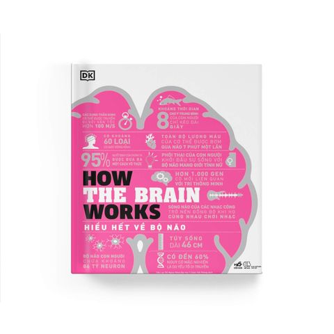  How The Brain Works - Hiểu Hết Về Bộ Não 