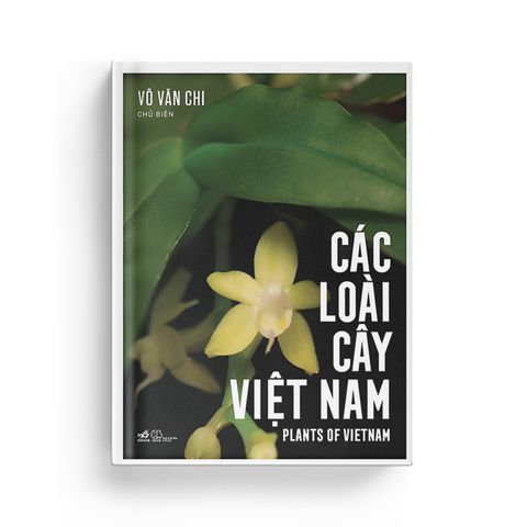  Các Loài Cây Việt Nam 
