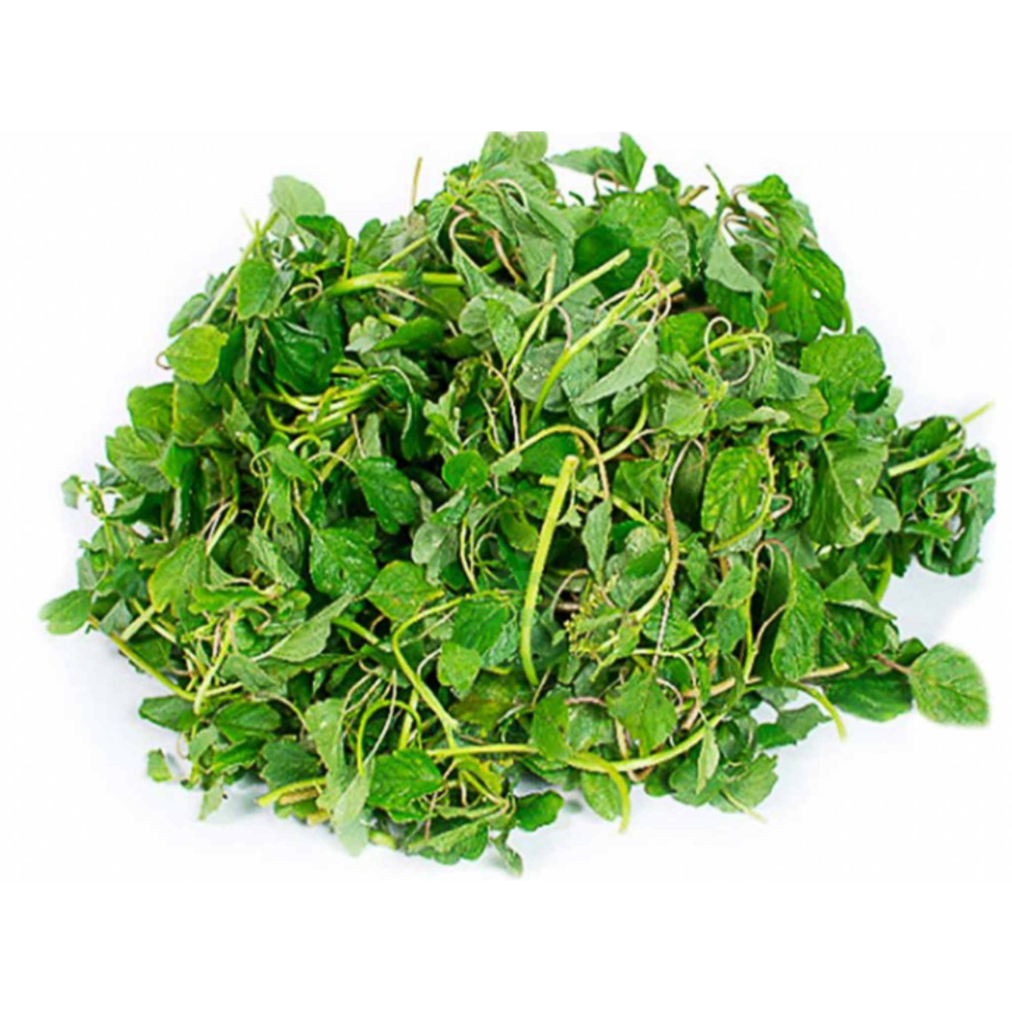 Dền Cơm Organic
