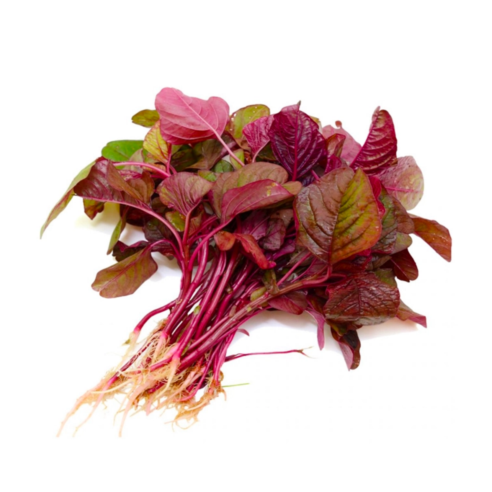 Dền Đỏ Organic