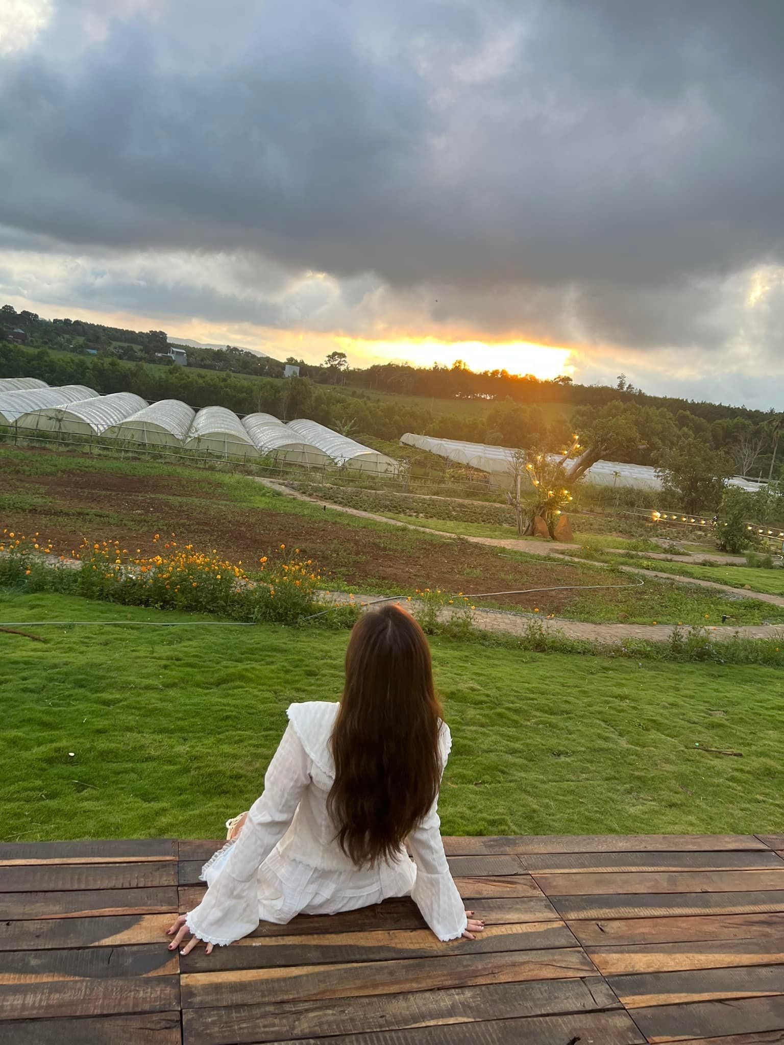 Lều Glamping