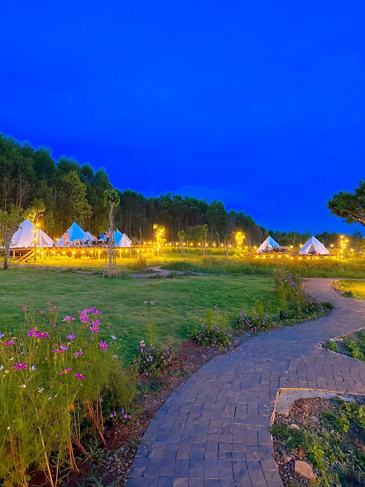 Lều Glamping