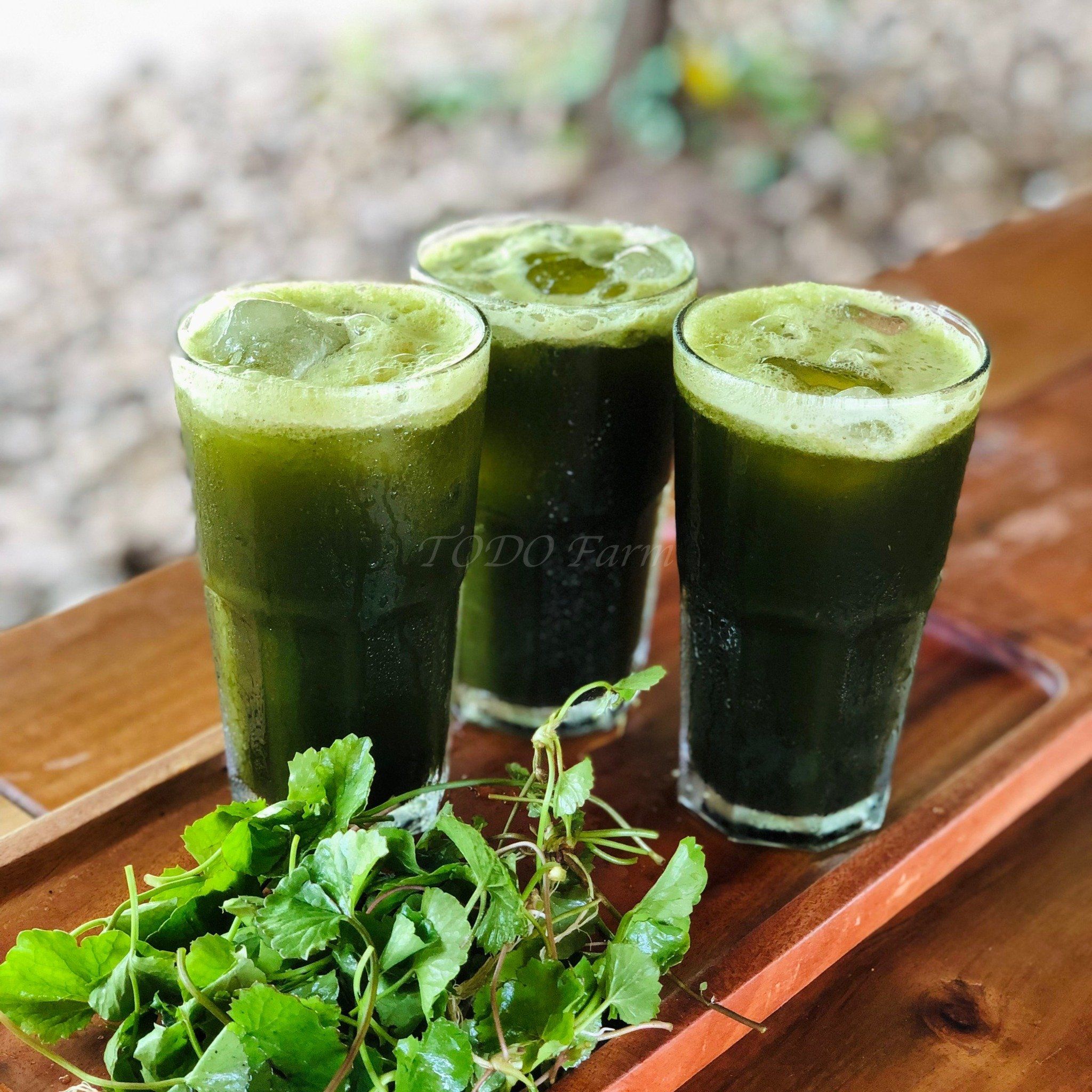 Nước Rau Má - Nước Organic