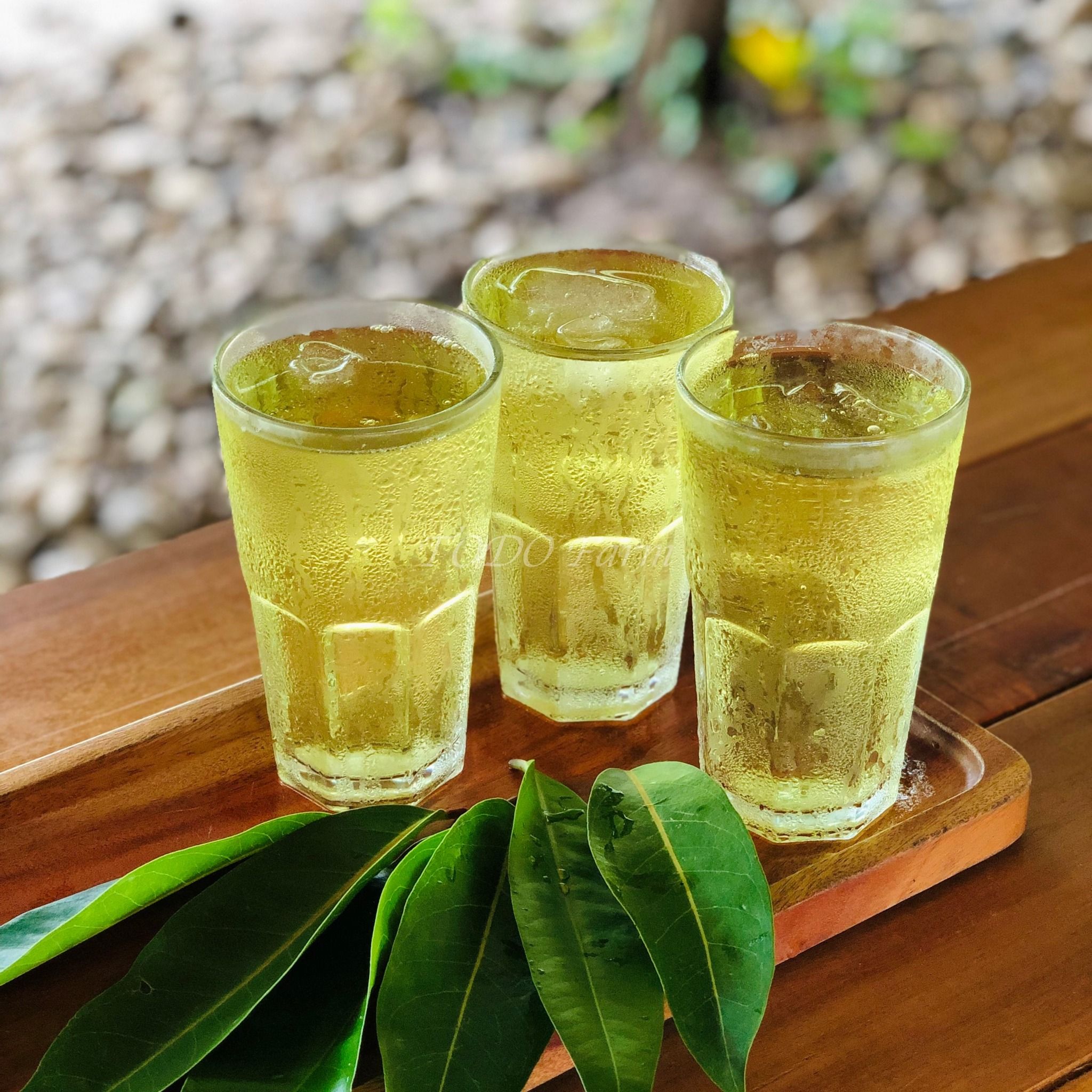 Nước Chè Vối - Nước Organic