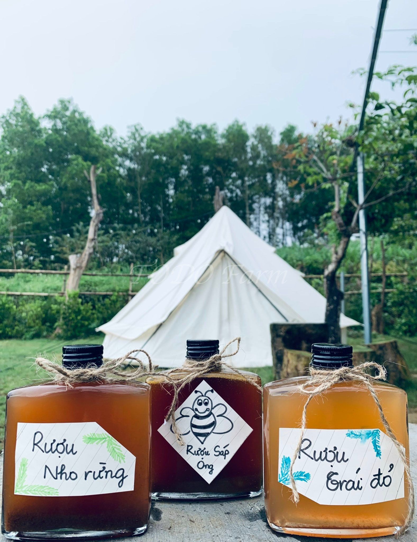 Rượu Nho Rừng - Homemade