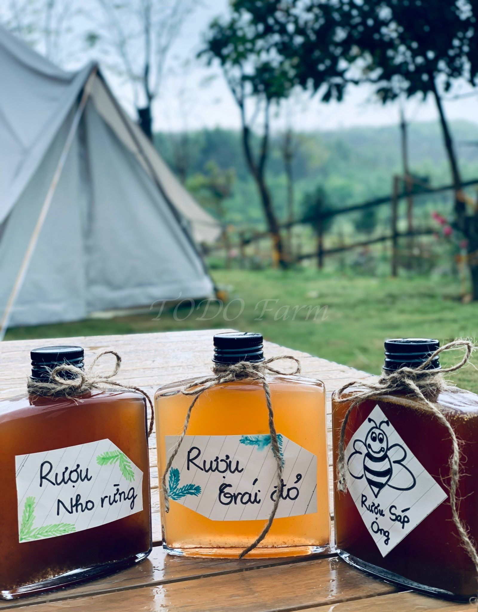 Rượu Nho Rừng - Homemade