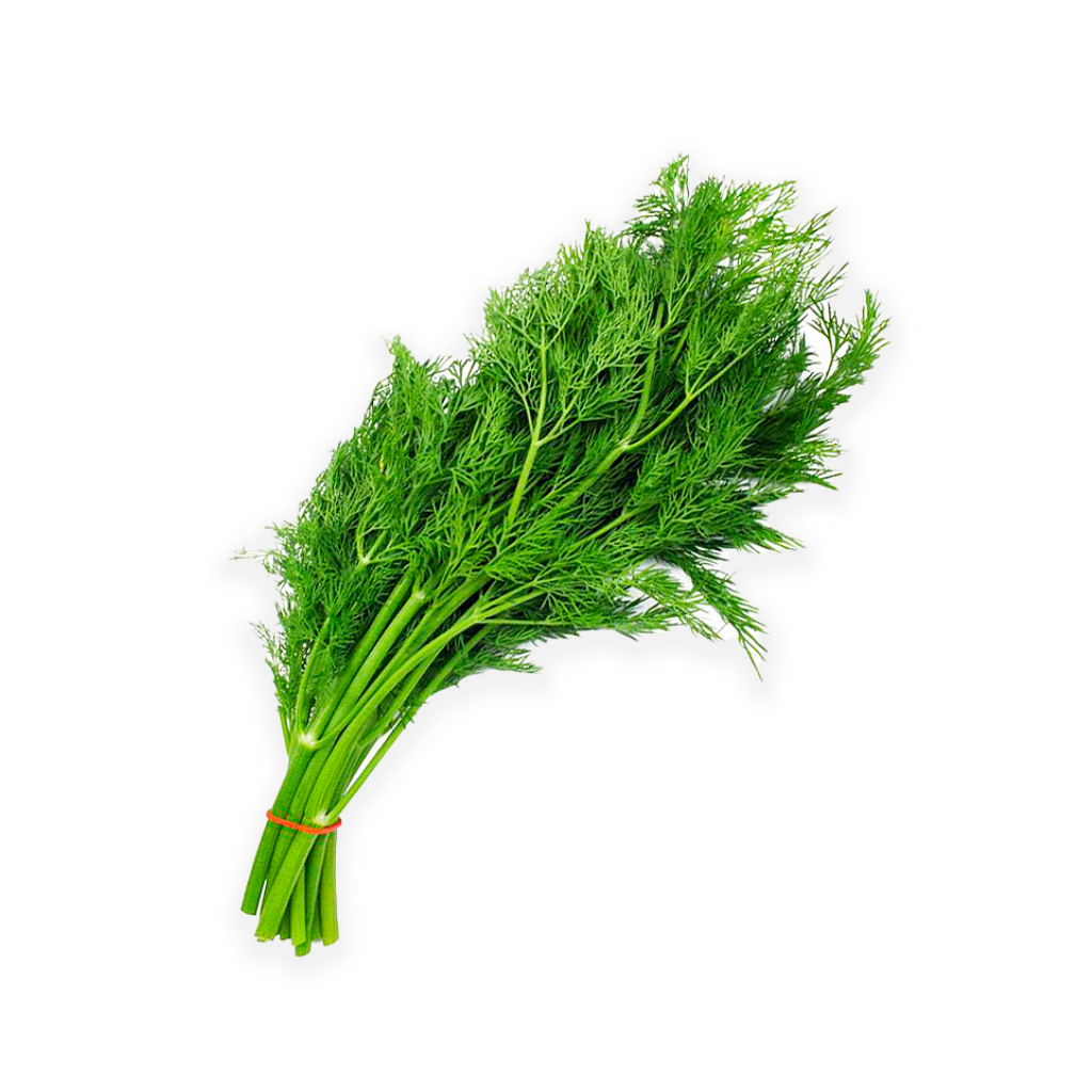 Thì Là Organic