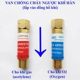  Van chống cháy ngược Borris 