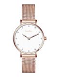 ĐỒNG HỒ BESTDON BD99214SL-B12 Nữ Máy Quartz ( pin ) Kính sapphire Size 28mm 3ATM