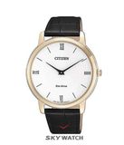 ĐỒNG HỒ CITIZEN AR1133-23A