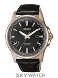 ĐỒNG HỒ CITIZEN BX1008-12E