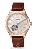 ĐỒNG HỒ CITIZEN PC1003-07A