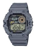 ĐỒNG HỒ CASIO WS-1700H-8AVDF