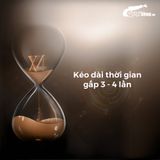  Bao cao su Shell Perky Prolong - Siêu mỏng, kéo dài thời gian, hương cà phê - Hộp 10 cái 