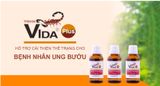  Vida ® Plus - Nọc bọ cạp xanh Cuba (Chính Hãng) - giúp Hỗ Trợ Cho Người Bị U Bướu 30ml 