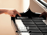  Piano Hybrid KAWAI NOVUS 10S | Kawai NV10S New 