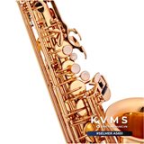  Kèn Conn selmer AS651 | Saxophone cao cấp 