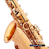  Kèn Conn selmer AS651 | Saxophone cao cấp 