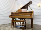  Grand Piano Yamaha G2E Walnut 