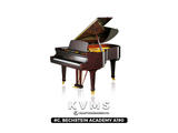  Grand Piano C. BECHSTEIN Academy A190 