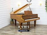  Grand Piano Yamaha G2E Walnut 