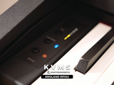  Piano digital Roland RP 102 