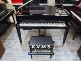  Piano Hybrid YAMAHA AVANTGRAND N3 