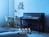  Yamaha AvantGrand NU1XA PE | Piano hybrid New 2023 