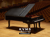  Grand Piano Yamaha CFX ( 2010 ) 