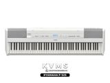  Piano Yamaha P525 | Portable Digital Piano | Đen - Trắng | New 2023 