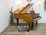  Grand Piano Yamaha G2E Walnut 