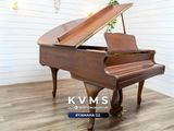  Grand Piano Yamaha G2 SW phong cách Châu Âu | Dòng Baby Grand chân cong cổ điển 