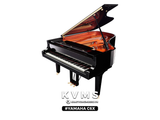  Grand Piano Yamaha C6X 