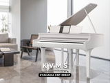  Piano YAMAHA CSP 295 GP | Piano Digital New 2023 