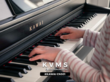  Piano Digital KAWAI CN301 New 