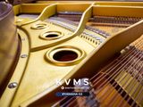  Grand Piano Yamaha G2 SW phong cách Châu Âu | Dòng Baby Grand chân cong cổ điển 