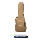  Guitar Baby Taylor BT1E | Đàn Guitar Acoustic chính hãng giá tốt 