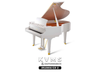  Grand Piano Kawai GX 2 