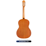  Guitar Cordoba C1M | đàn Guitar Classic New 