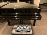  Grand Piano Yamaha C2 