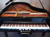  Grand Piano Yamaha C3 