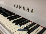  Grand Piano Yamaha No 20 WH 