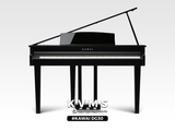  Piano Digital KAWAI DG30 