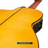  Guitar Cordoba 55FCE - Honey Amber | đàn Guitar Classic New 