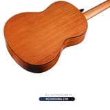  Guitar Cordoba C1M | đàn Guitar Classic New 