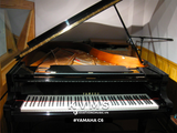  Grand Piano Yamaha C6 