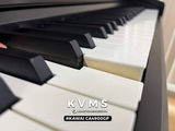  Piano Digital KAWAI CA4900GP 