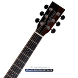  Guitar TangleWood DBT-D-EB | đàn Guitar Acoustic New 