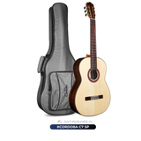  Đàn Guitar Classic Guitar Cordoba C7 SP 